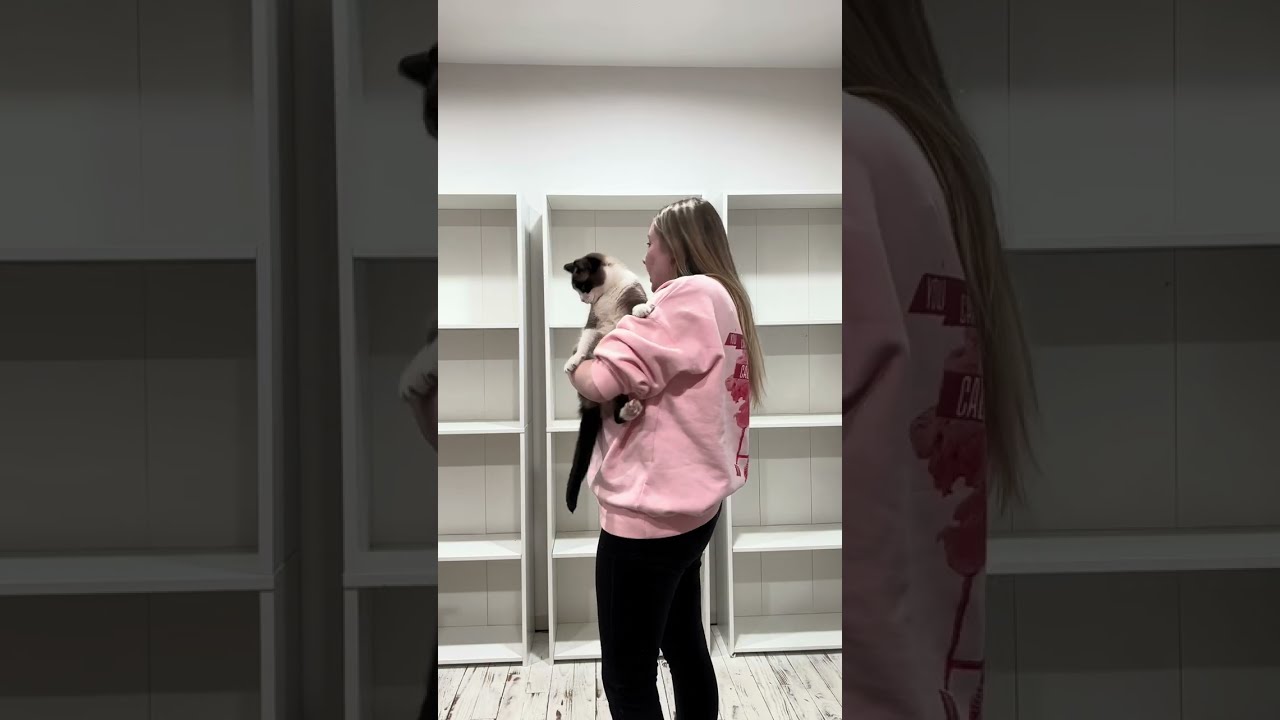 American Girl Display Update 
