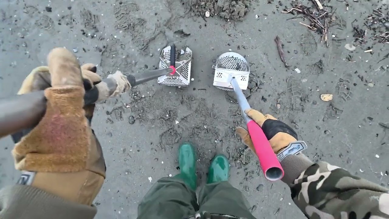MINELAB XTERRA ELITE PIASTRA V8X UN MOSTRO!!!
