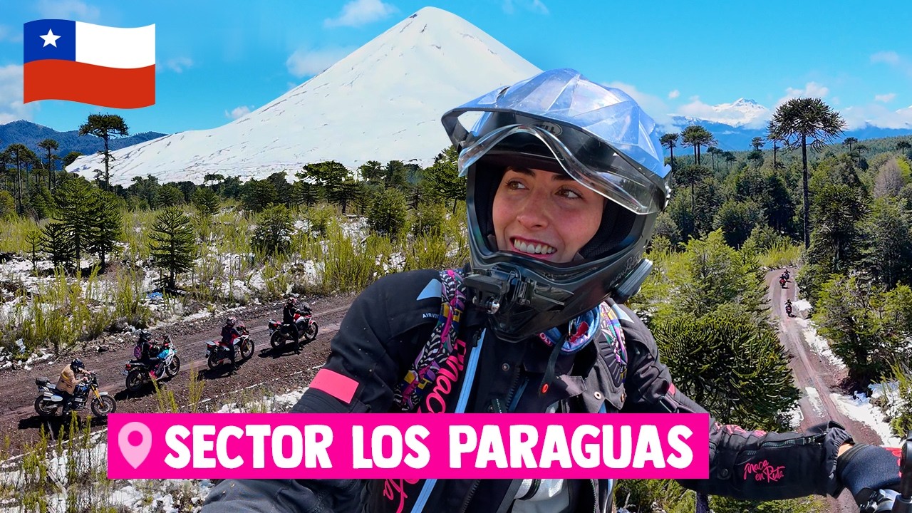 Ruta ÉPICA Entre Araucarias y Volcán Activo (¡GRATIS!) #13 | Sur de Chile 🇨🇱