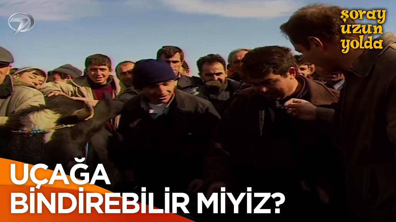 İşkembeleri Geniş Olan İnek Üşümez | Şoray Uzun Yolda