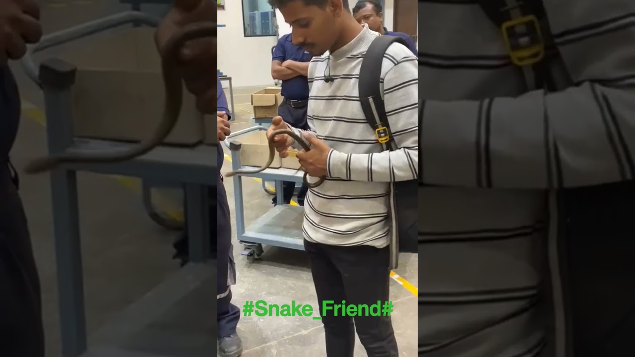 #Snake