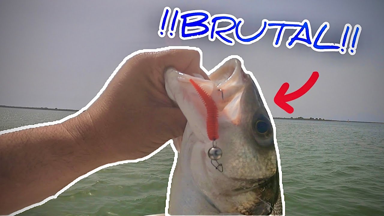 ROBALACO 🐟 con 🪱PIKUPIKU [ AVISTAMOS una PAJARERA y se LÍA PARDA]