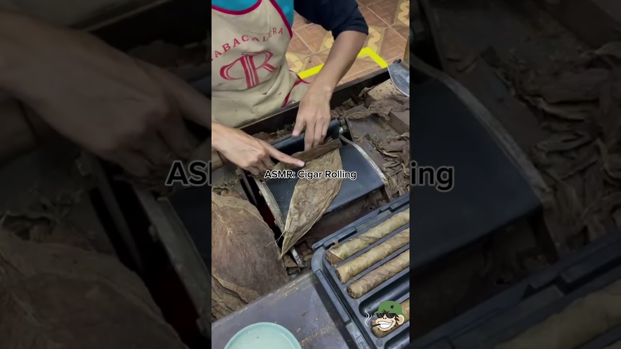 Rolling big flavor. Delivers every time. #cigars #cigarlifestyle #cigarworld #cigaraficionado #asmr