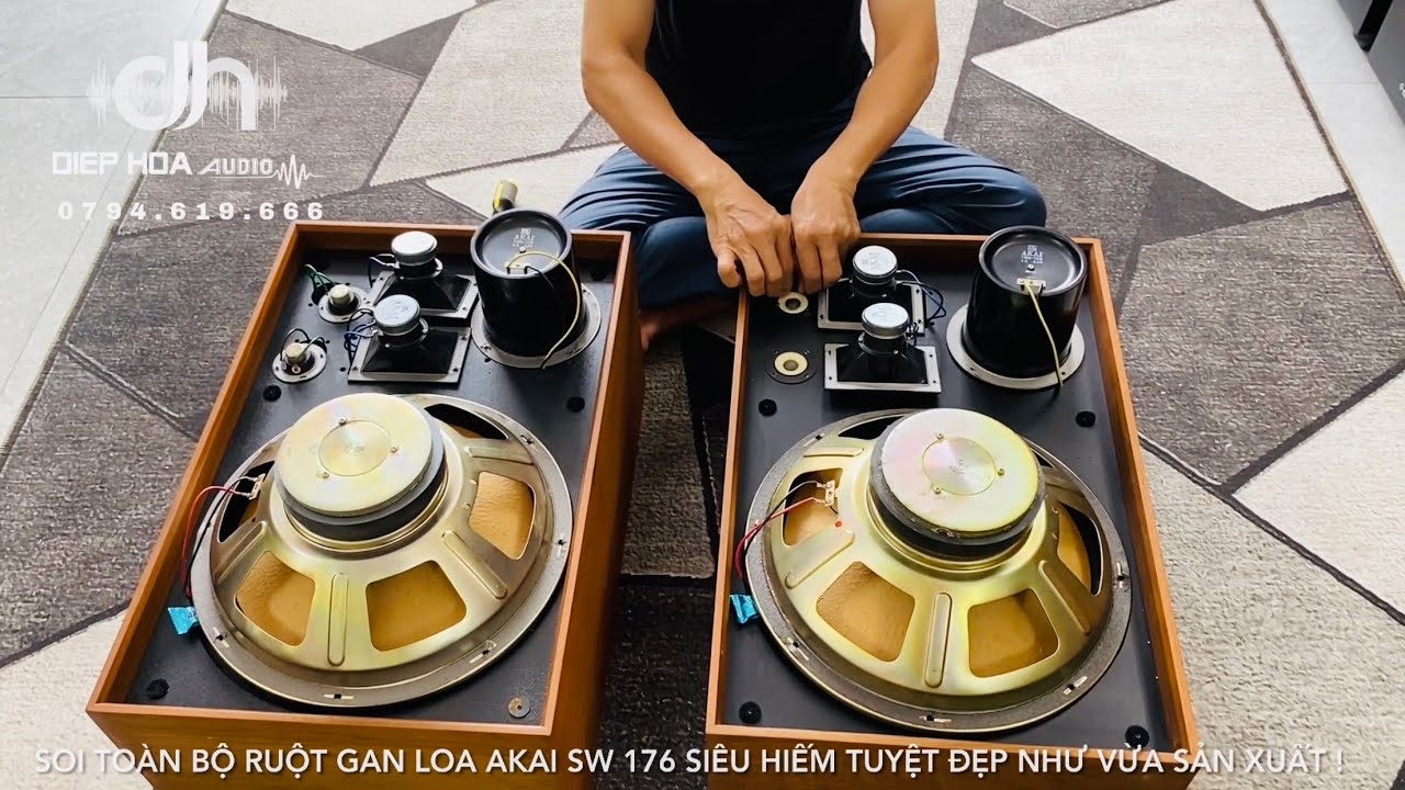 🔊 SOI TO&Agrave;N BỘ RUỘT GAN LOA AKAI SW-176 SI&Ecirc;U HIẾM TUYỆT ĐẸP NHƯ VỪA SẢN XUẤT ! 🔊