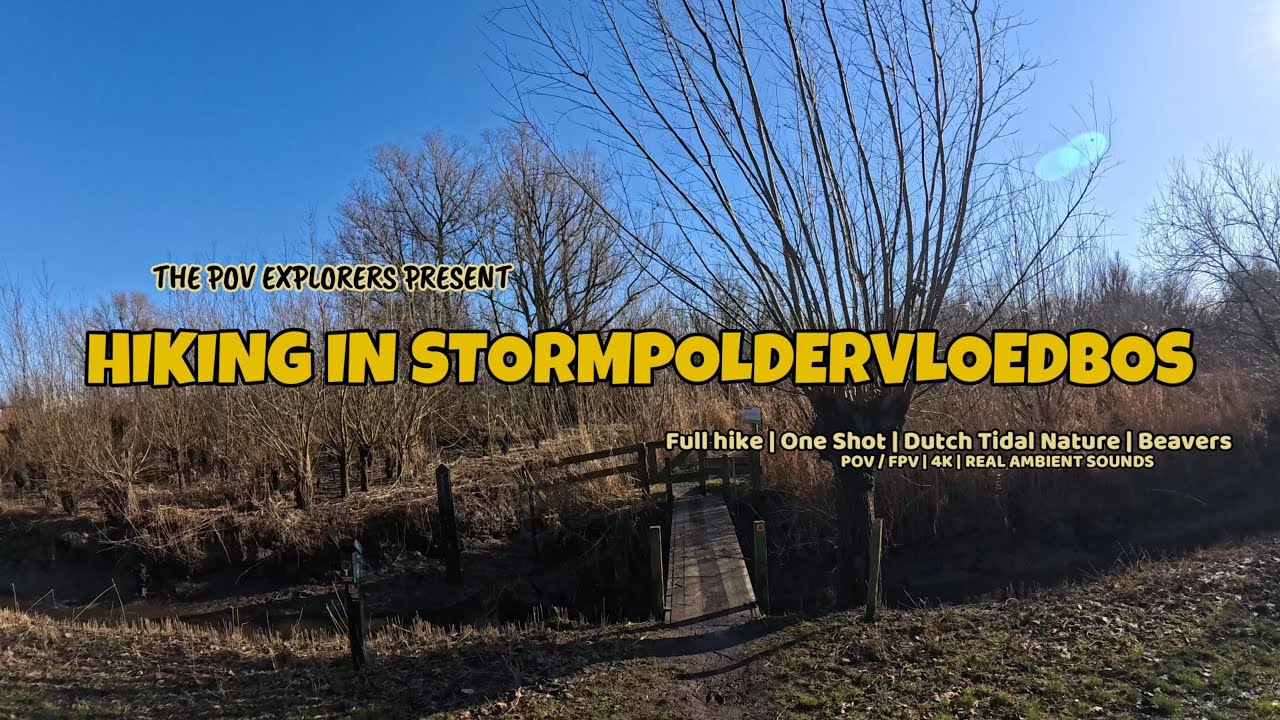 Hiking in Stormpoldervloedbos - Dutch Tidal Nature - One shot POV Hike - Real sound