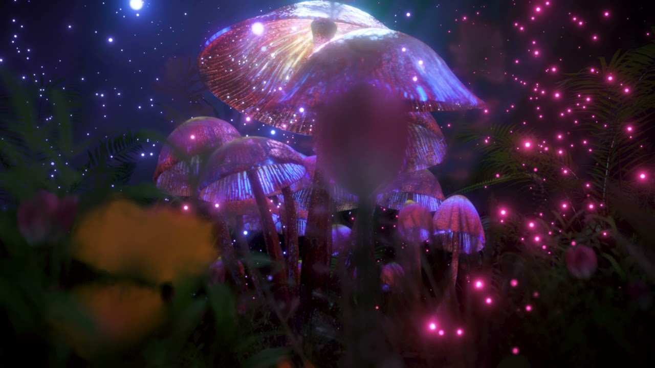 3D Psychedelic Magic Mushrooms Trippy Video For Your Background  A Fairy Magical Forest  Vj Loop 4K
