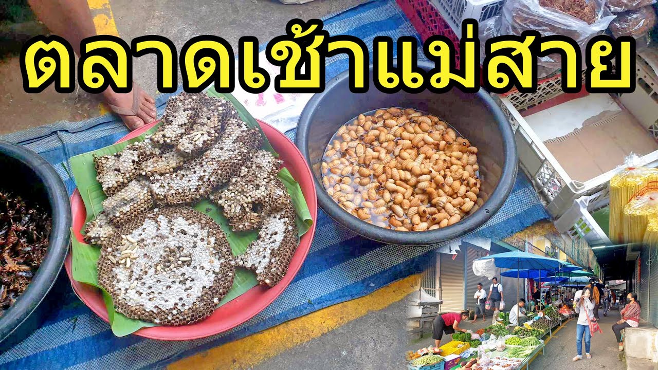 ตลาดเช้าแม่สาย ตลาดสดนายบุญยืน อ แม่สาย จ เชียงราย / Mae Sai Morning Market