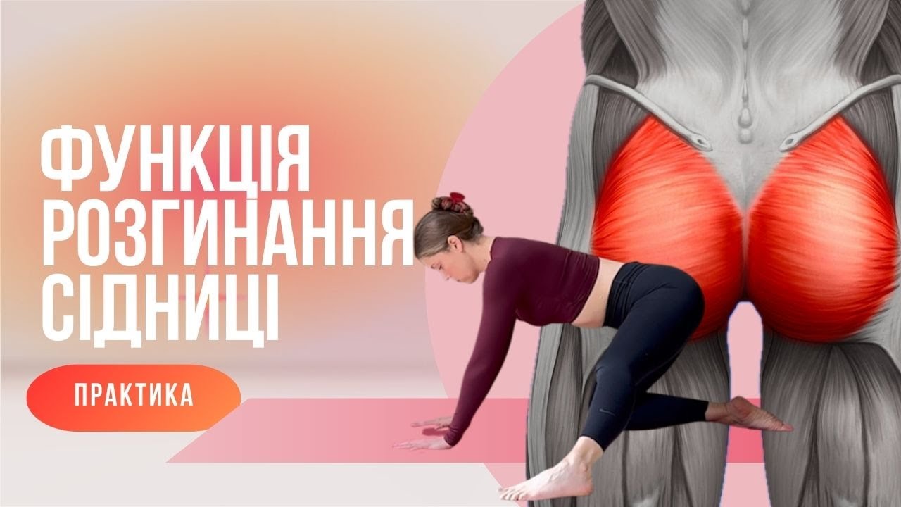 Тренування для сідниць. Розгинання кульшового суглобу. Hip hinge