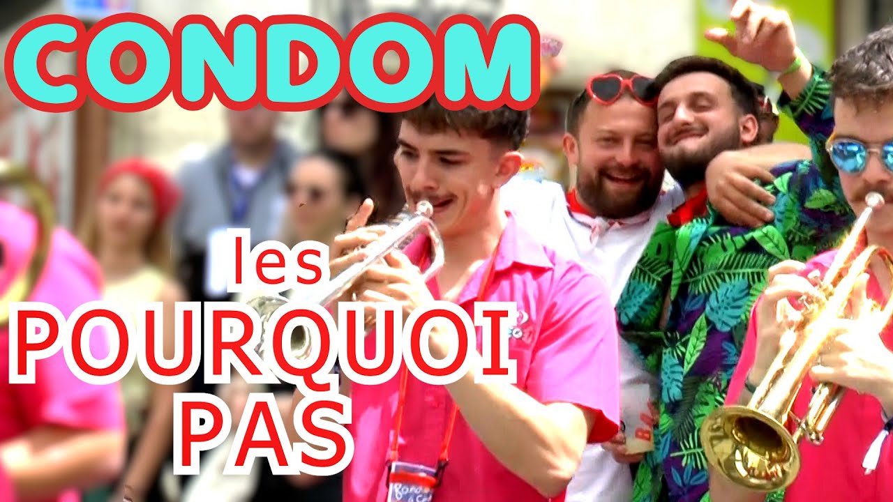 Les POURQUOI PAS  :  CONCERT (2)