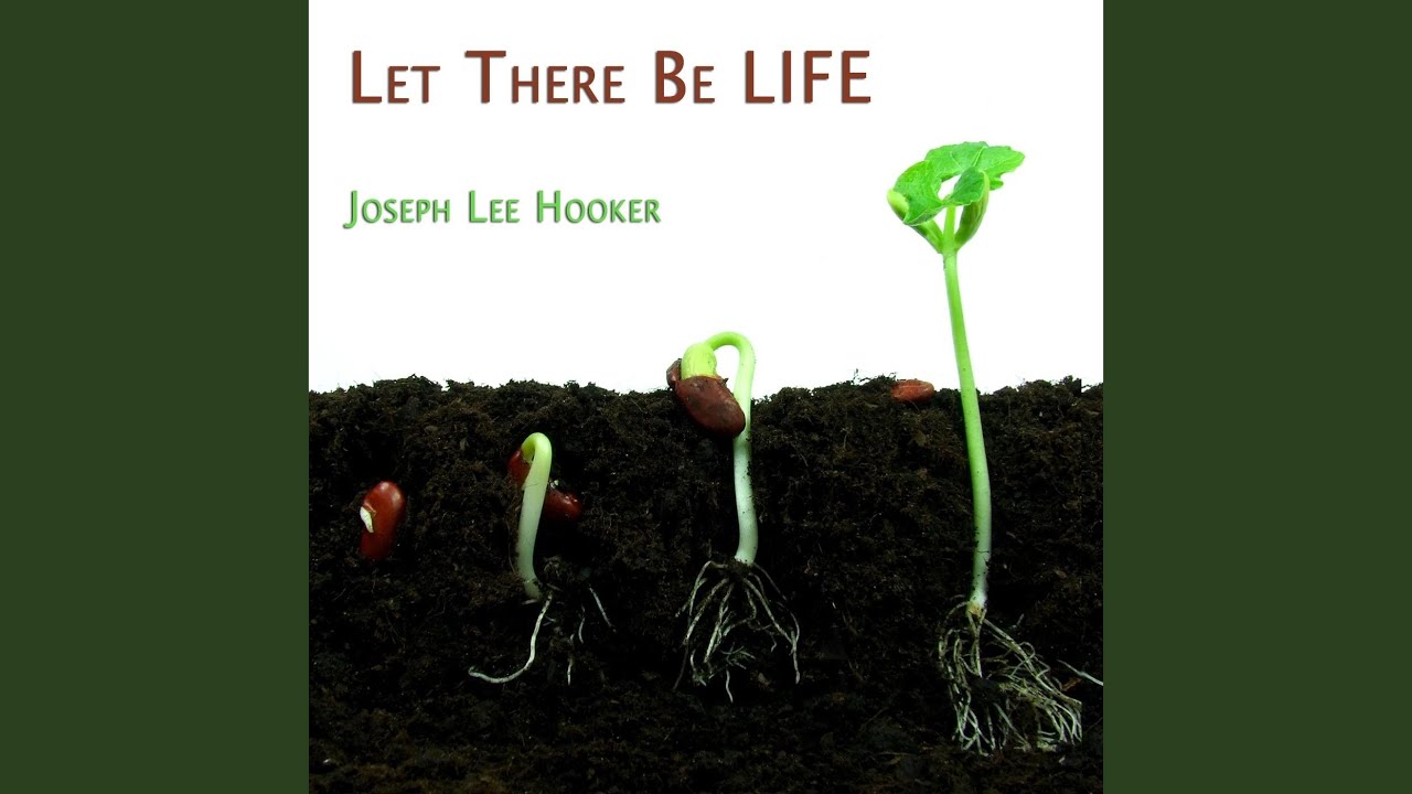 Let There Be Life