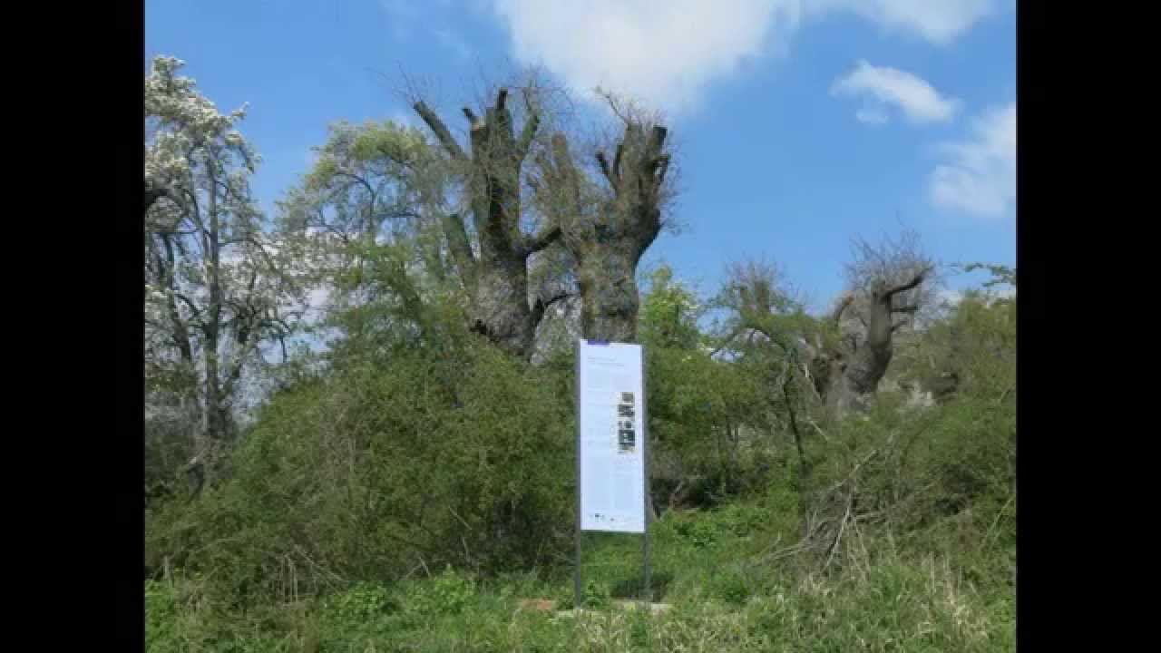 Wandern Franken; 
