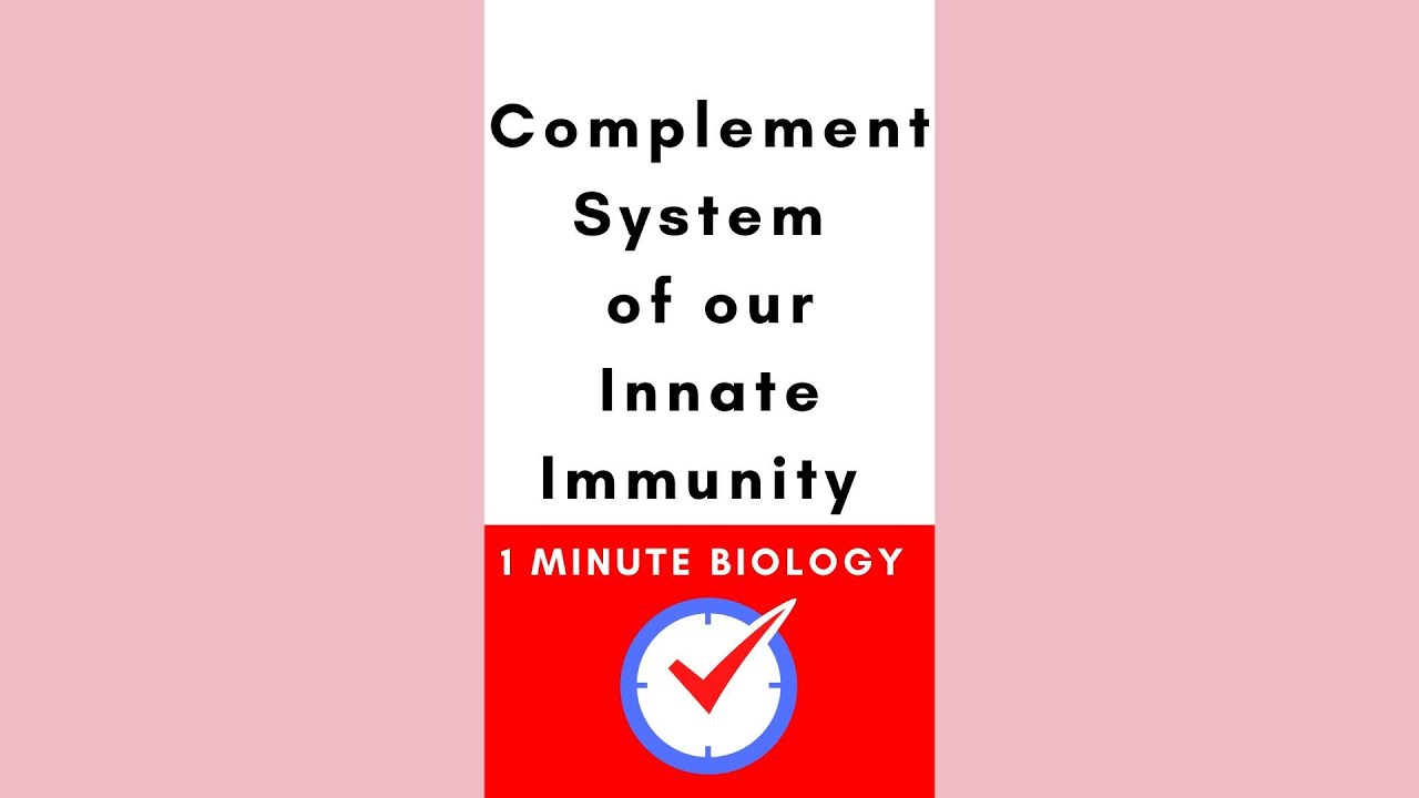 Complement system of our innate immunity #biology #microbiology #immunology #immunesystem #shorts