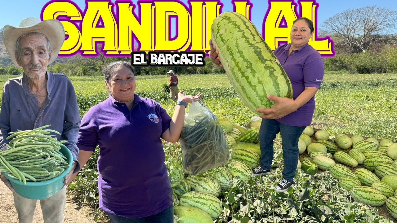 😍Venta de Sandilla Acuática En el Barcaje El Empalme Carolina Jutiapa.#motoaventuras #viral