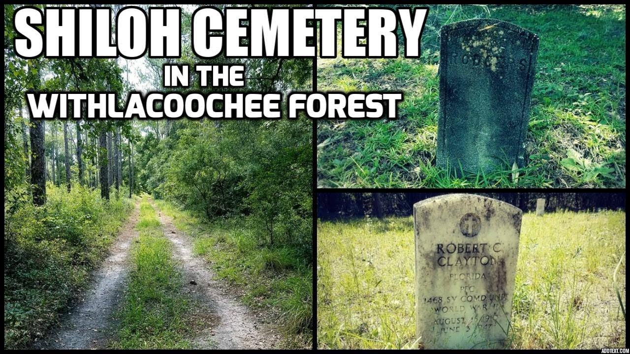 Hike to Shiloh Cemetery in the Withlacoochee State Forest