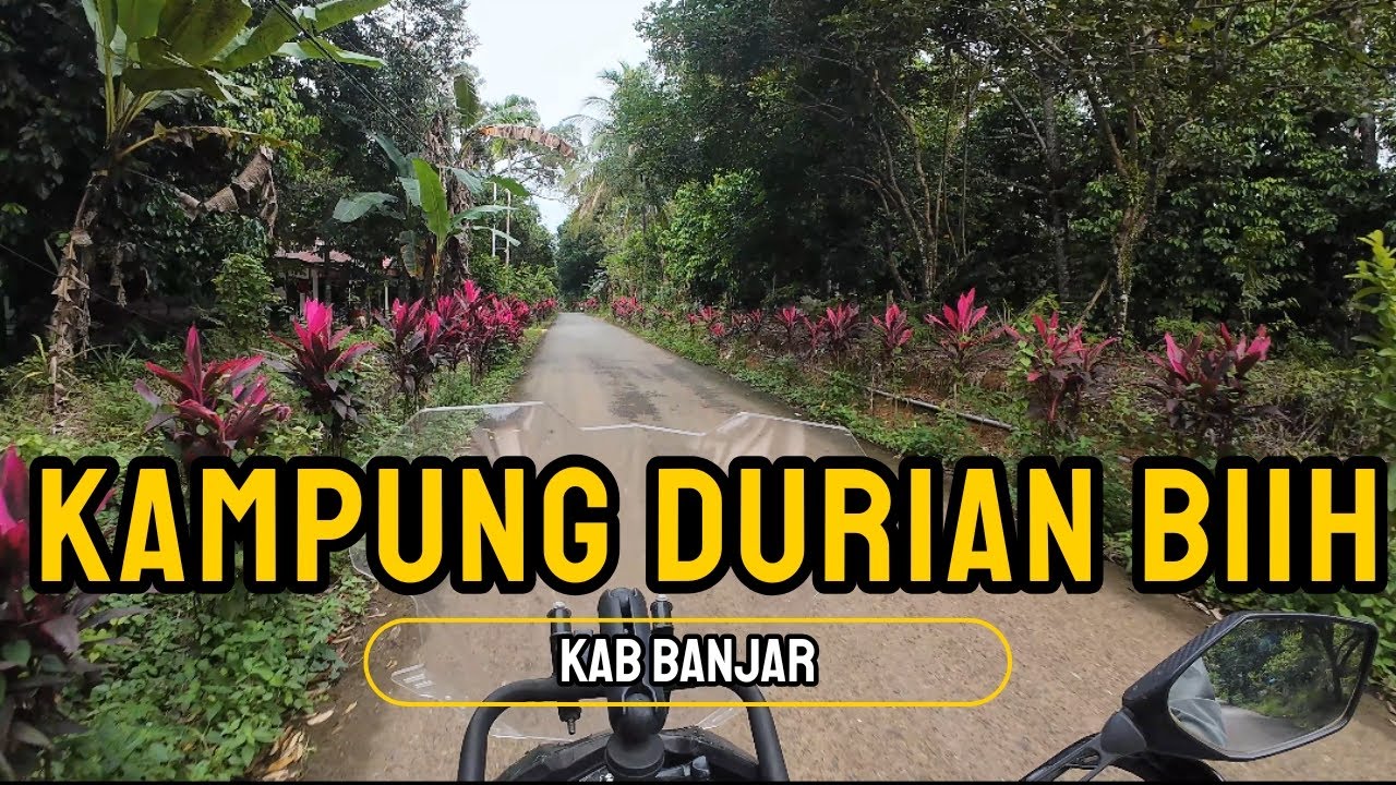 Kampung Durian Biih | Kab.Banjar