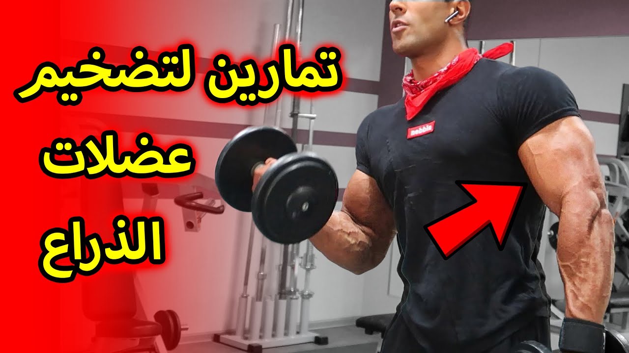 BICEPS/TRICEPS - طريقة فعالة لبناء عضلات الذراع + الشرح 🔥