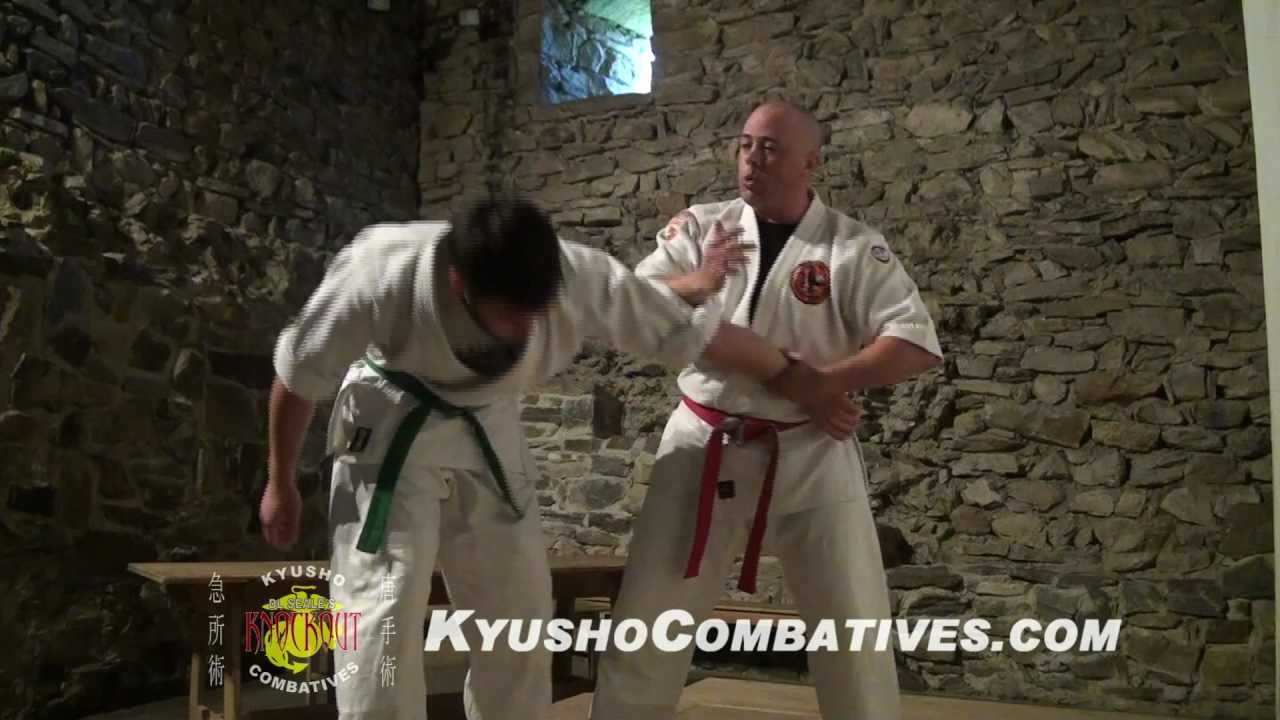 Dustin Seale's Kyusho Combatives - Arm Bar