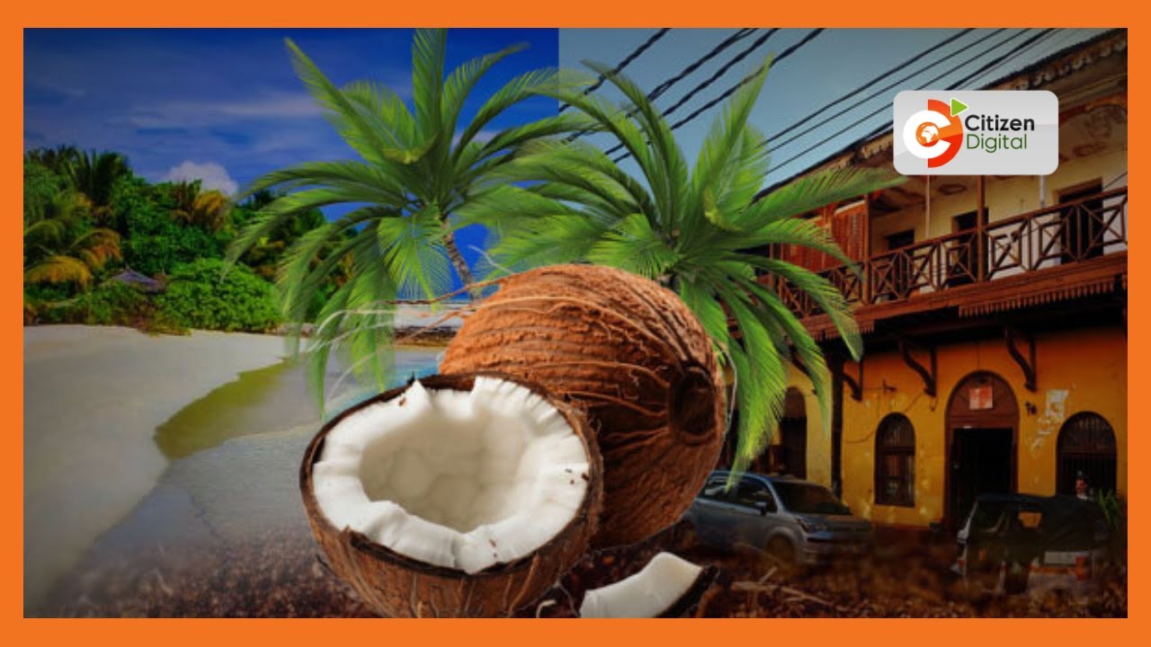 | DAY BREAK | Upanzi wa Mnazi [Part 2]