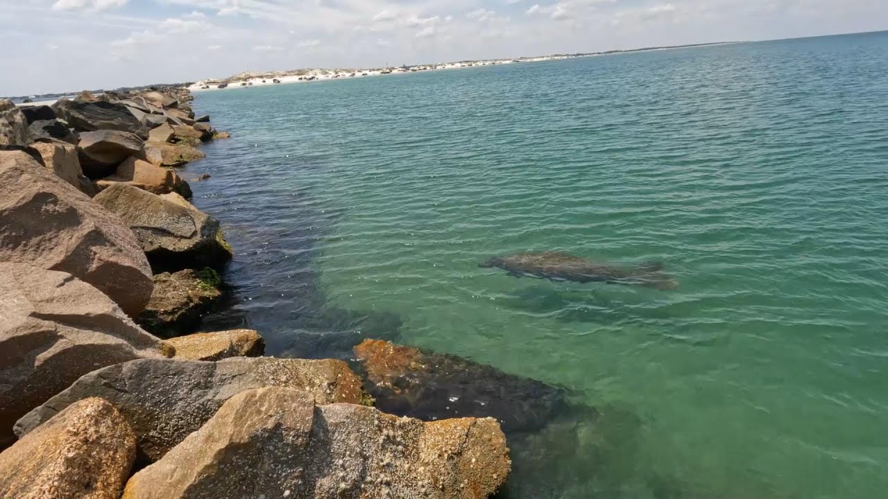 KeyWest or NorthEast Florida!!! Catching Fish in Glass Water #floridasportfishing #keywest #redfish