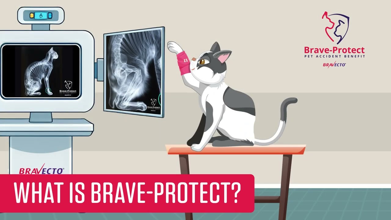 Brave-Protect: Pet Accident Benefit