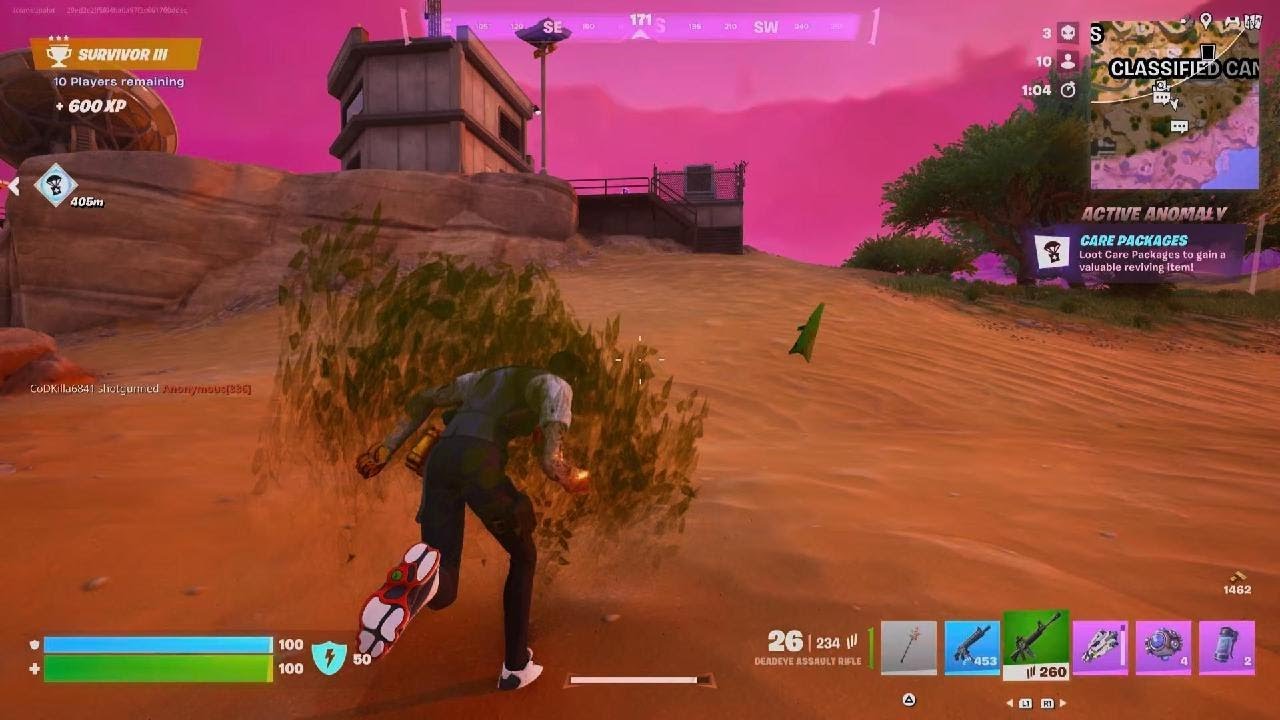 Fortnite_victory