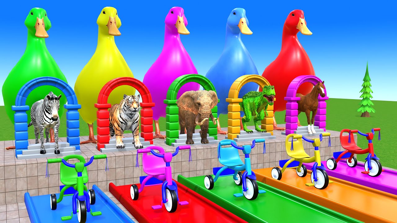 Long Slide Game With Cow Elephant Gorilla Hippopotamus Tiger 3d Animal Game Funny 3d Animals