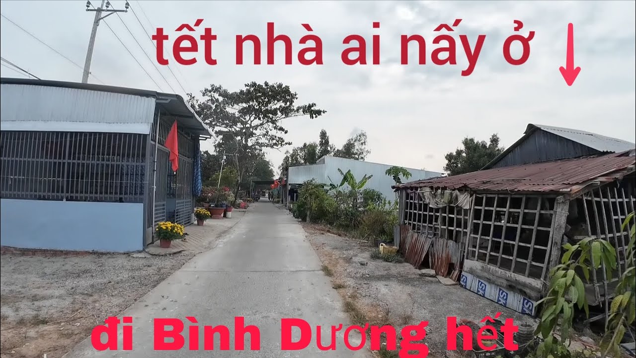 Tết Nhà Ai Nấy Ở 