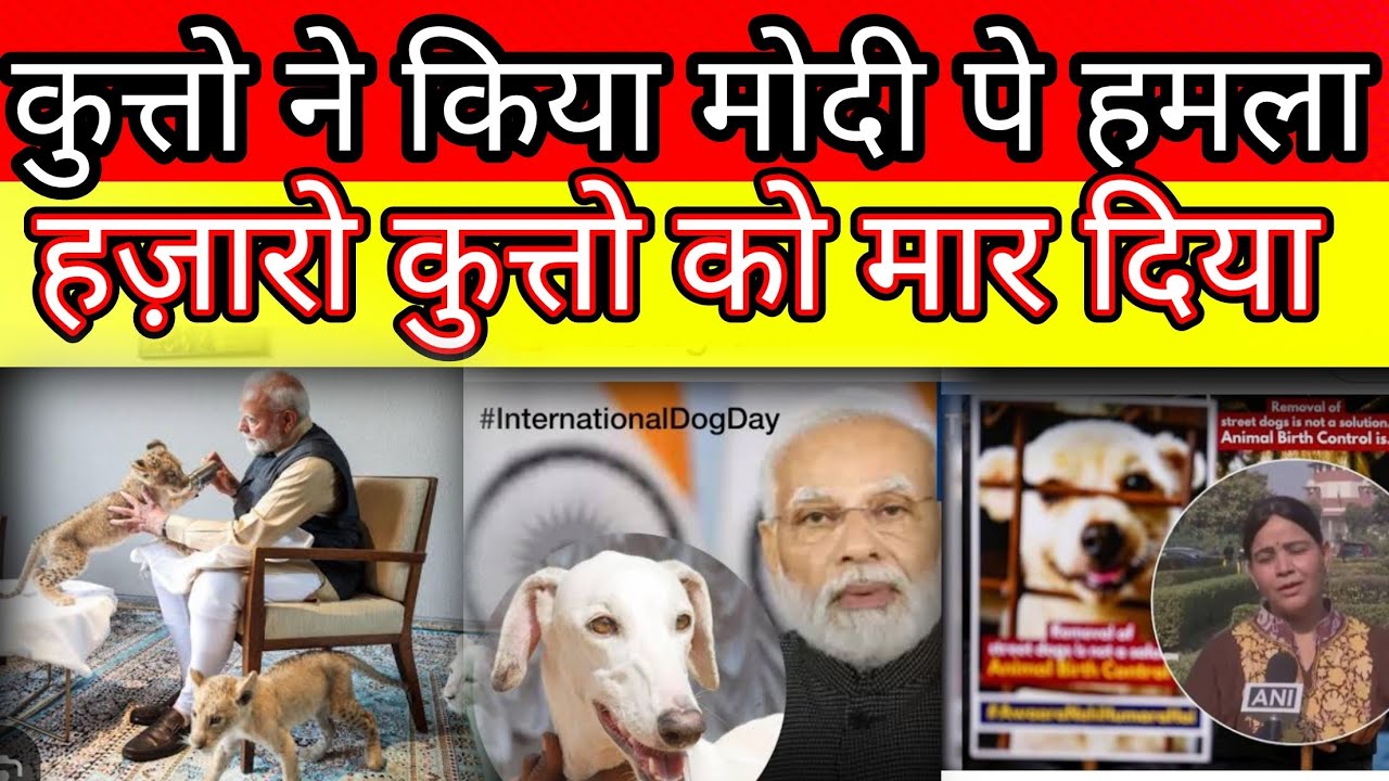 Dogs are very heavy on narendra Modi ji watch real face of politics ?