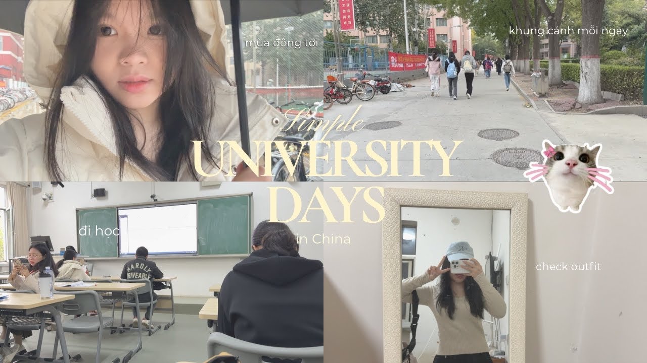 1 tuần của du học sinh Trung Quốc: vlog chơi nhiều hơn học | dear ani | study in china 🇨🇳 