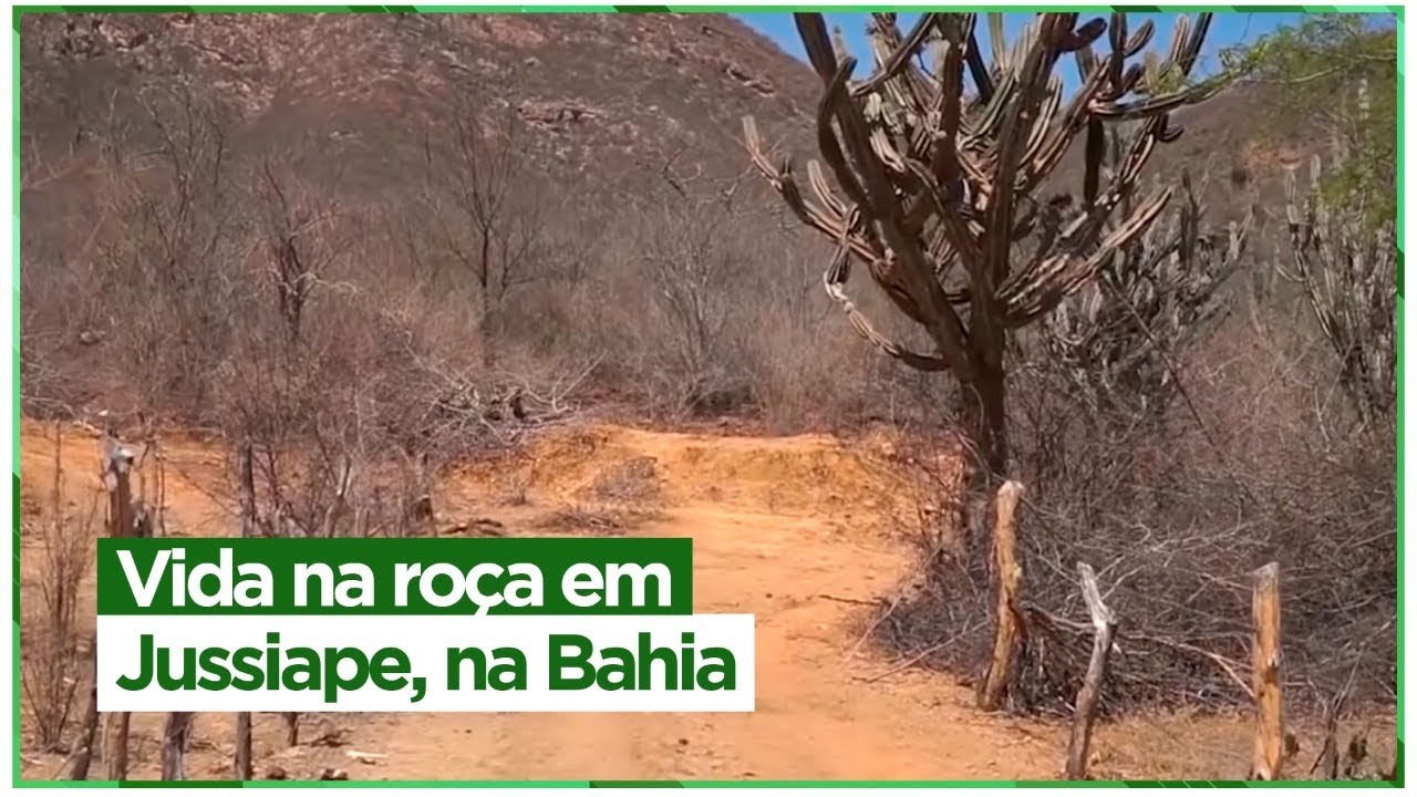 Vida na roça em Jussiape, no lado B da Chapada Diamantina, Bahia.