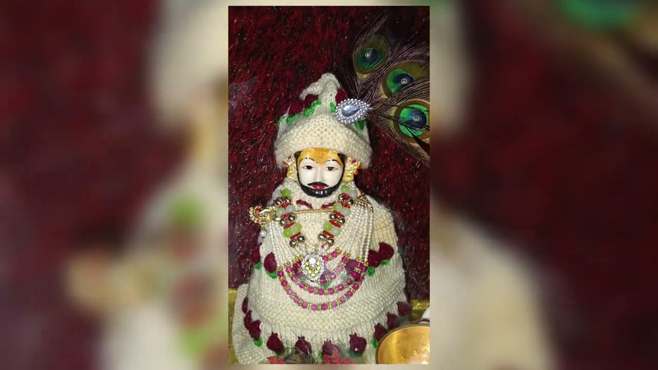 🙏🌹🥀🚩JAI SHREE SHYAM 🌹 JAI SHRI KRISHNA JAI SHREE RAM 🙏 JAI SHREE LADDU GOPAL JI 🚩🥀🌹🙏 #hanuman 