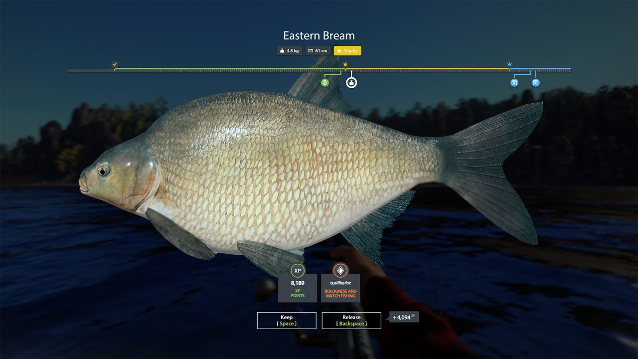 Russian Fishing 4 Trophy Eastern Bream 4.5kg