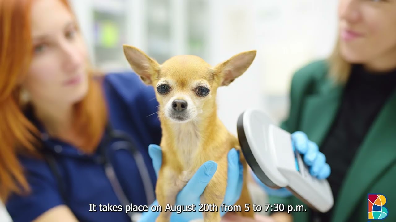 Free Microchip Clinic (for dogs only)