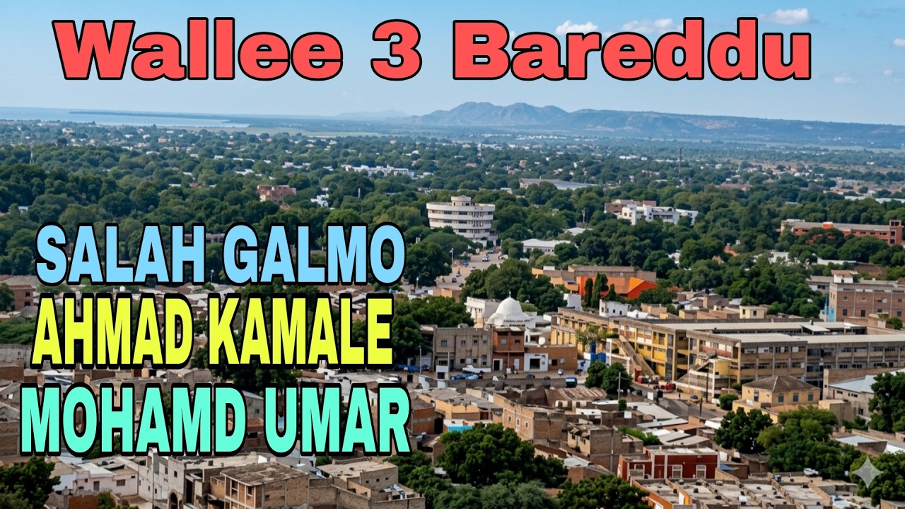 BEST 3 OROMO Music CH. MIX-05 *A. KAMALE & S. GALMO