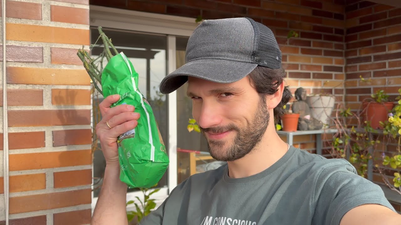 Compro Planta 