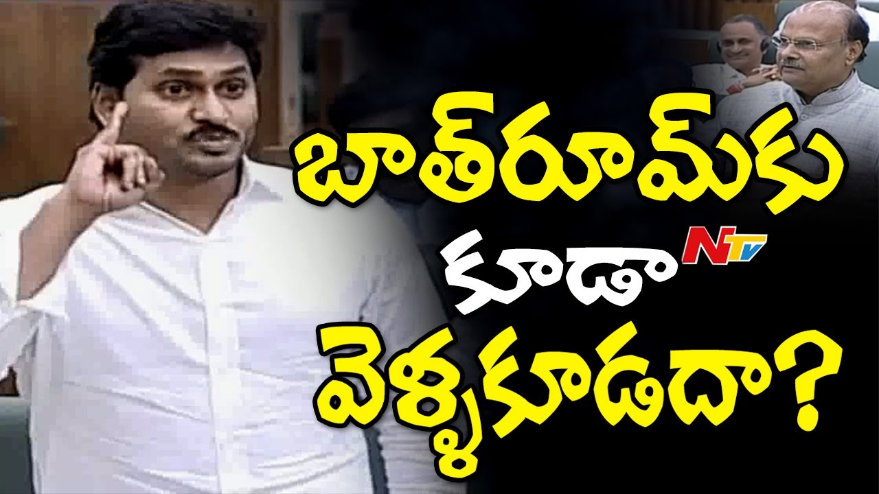 Funny Comments Between YS Jagan & Yanamala Ramakrishnudu || Assembly || NTV
