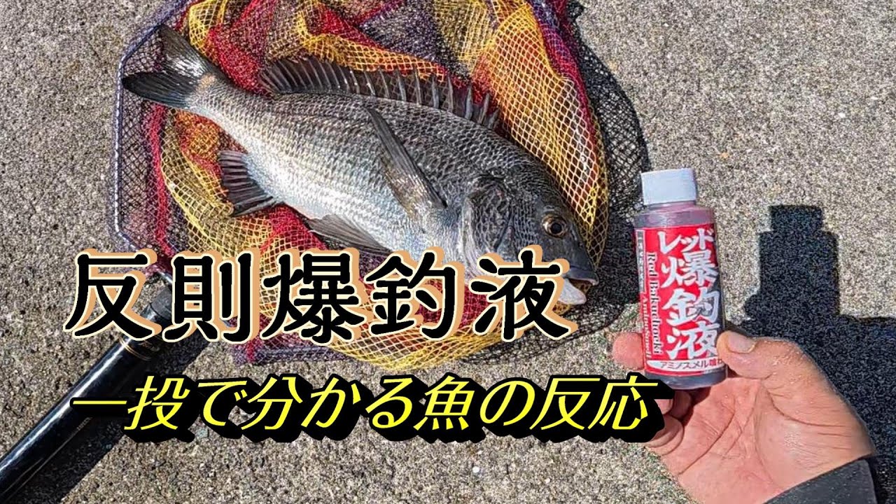 静かな海が急に！魚の反応を一発で変える薬剤