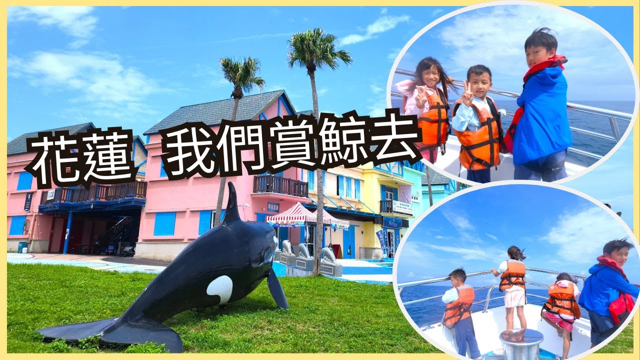 [花蓮 親子 旅遊] 哇 海豚~賞鯨生態之旅-花蓮賞鯨｜海豚｜賞鯨 親子景點介紹~ 親子互動/景點介紹/遊戲挑戰
