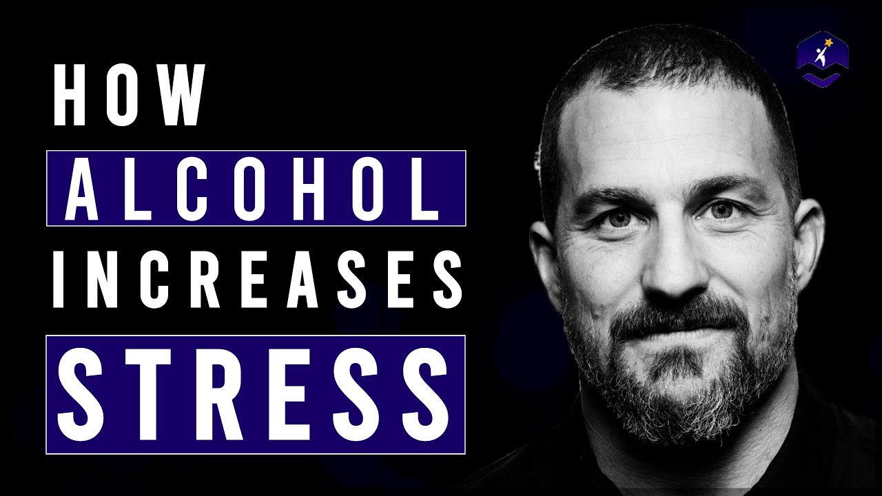 How Alcohol Increases Your Stress | Dr. Andrew Huberman