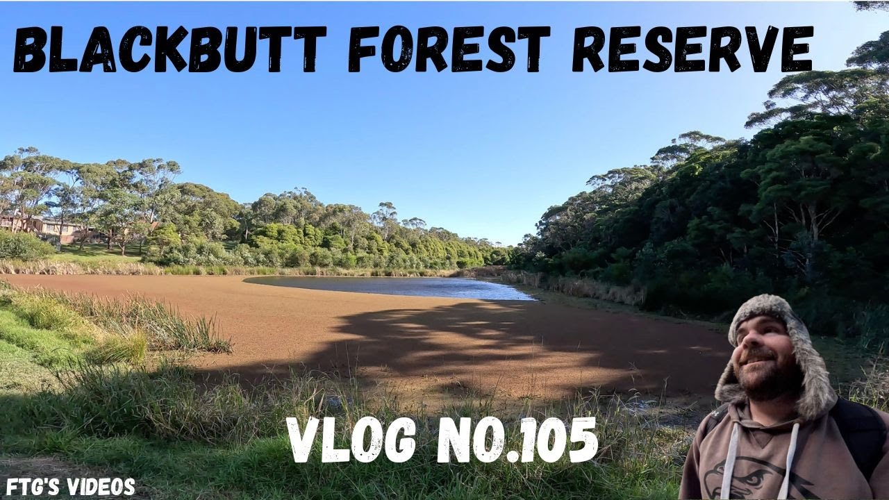 THE BLACKBUTT FOREST RESERVE (VLOG NO.105)