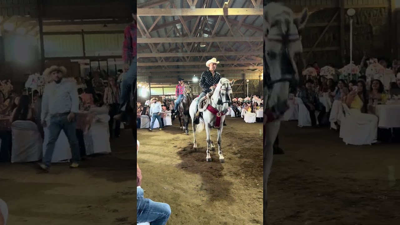 Que chulada. bailan estos caballos