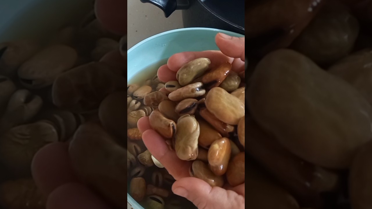 أسرع طريقة لطبخ الباقلة اليابسة