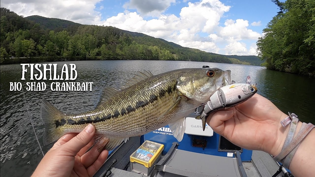 FISHING STEEP LEDGES FOR SPOTTED BASS WITH FISHLAB BIO SHAD CRANKBAIT