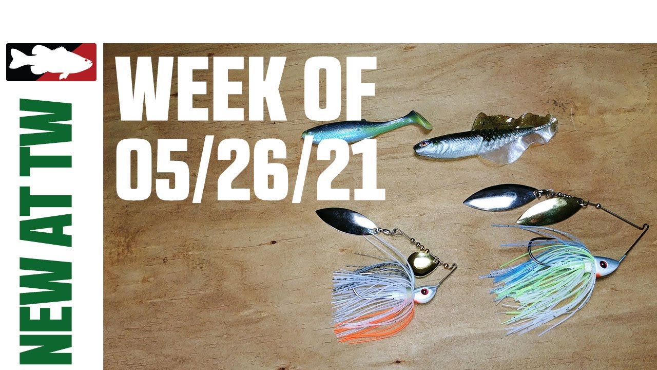 New Bassman Spinnerbaits, New Chasebaits, and New Storage options from Lure Lock - WNTW 5/26/21