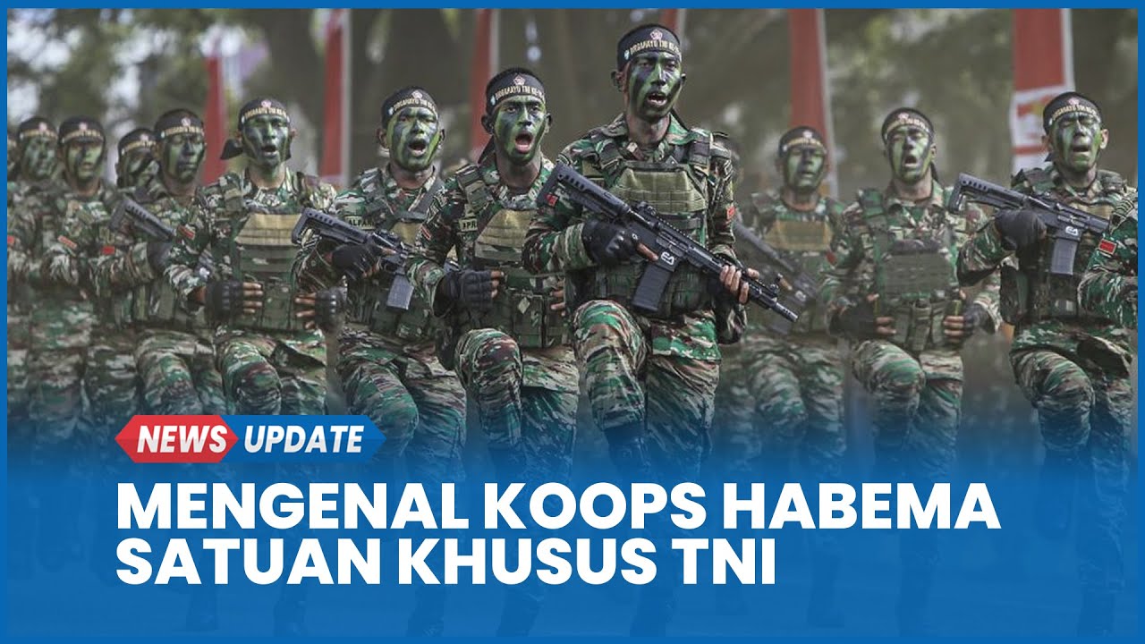 Profil Komando Operasi Habema Satuan Khusus TNI Tembak Pentolan KKB Papua Mayer Wenda