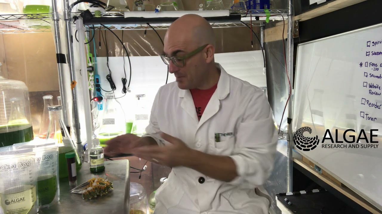 Introduction to Algae Beads
