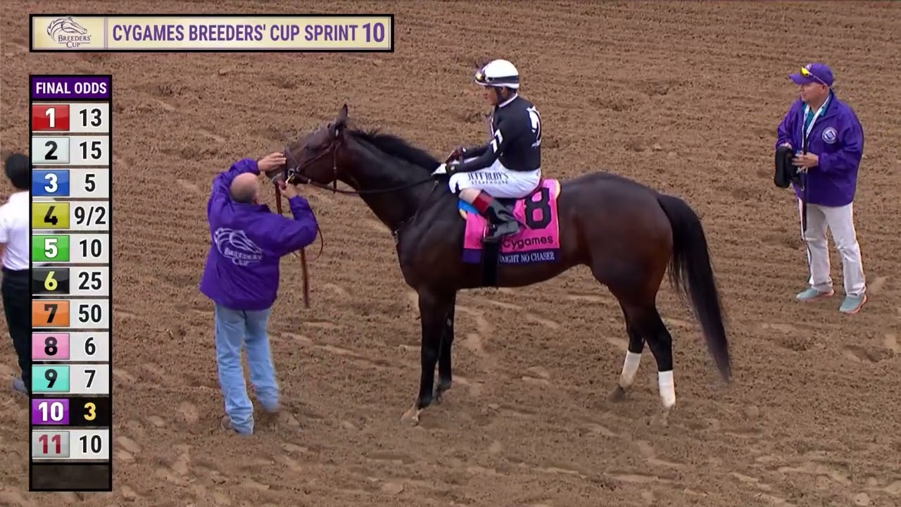Straight No Chaser wins Cygames Breeders' Cup Sprint G.I race 10 at Del Mar 11/2/24