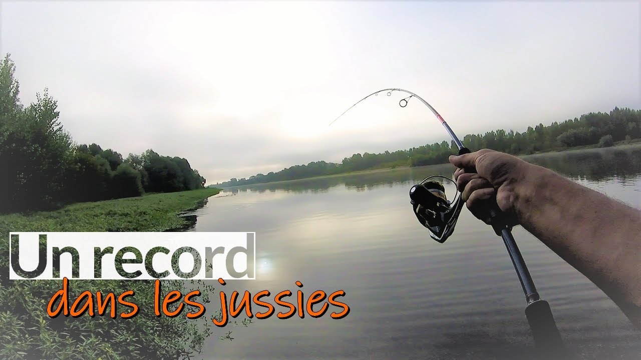 Pêche Light en Loire : un Record dans les Jussies