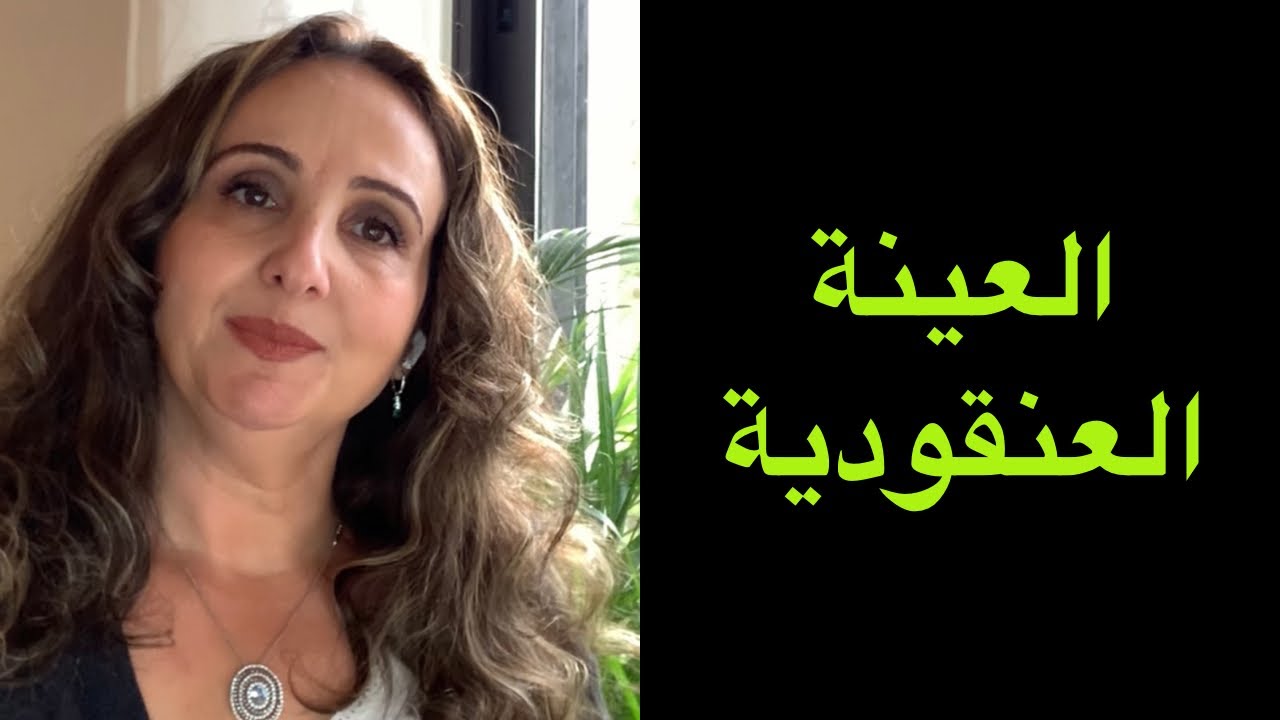 العينة العنقودية،العينات الاحتمالية شرح سريع ومبسط