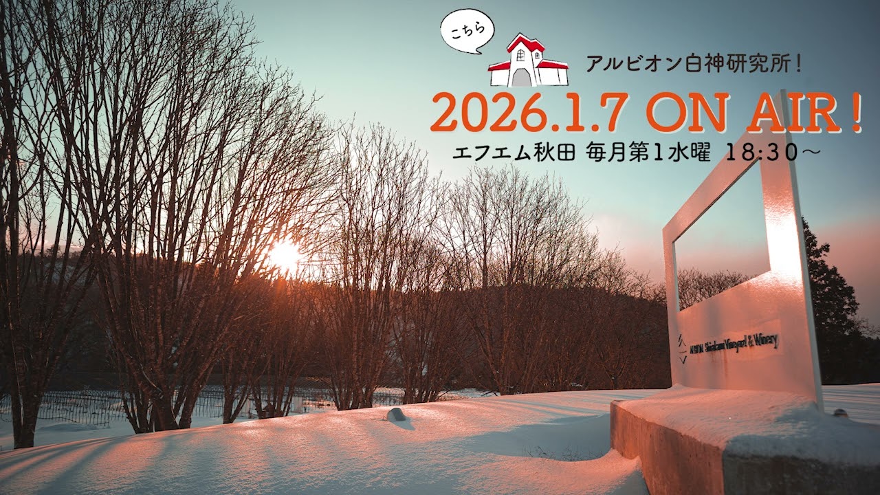 【#84】こちらアルビオン白神研究所！２０２６年１月７日放送分